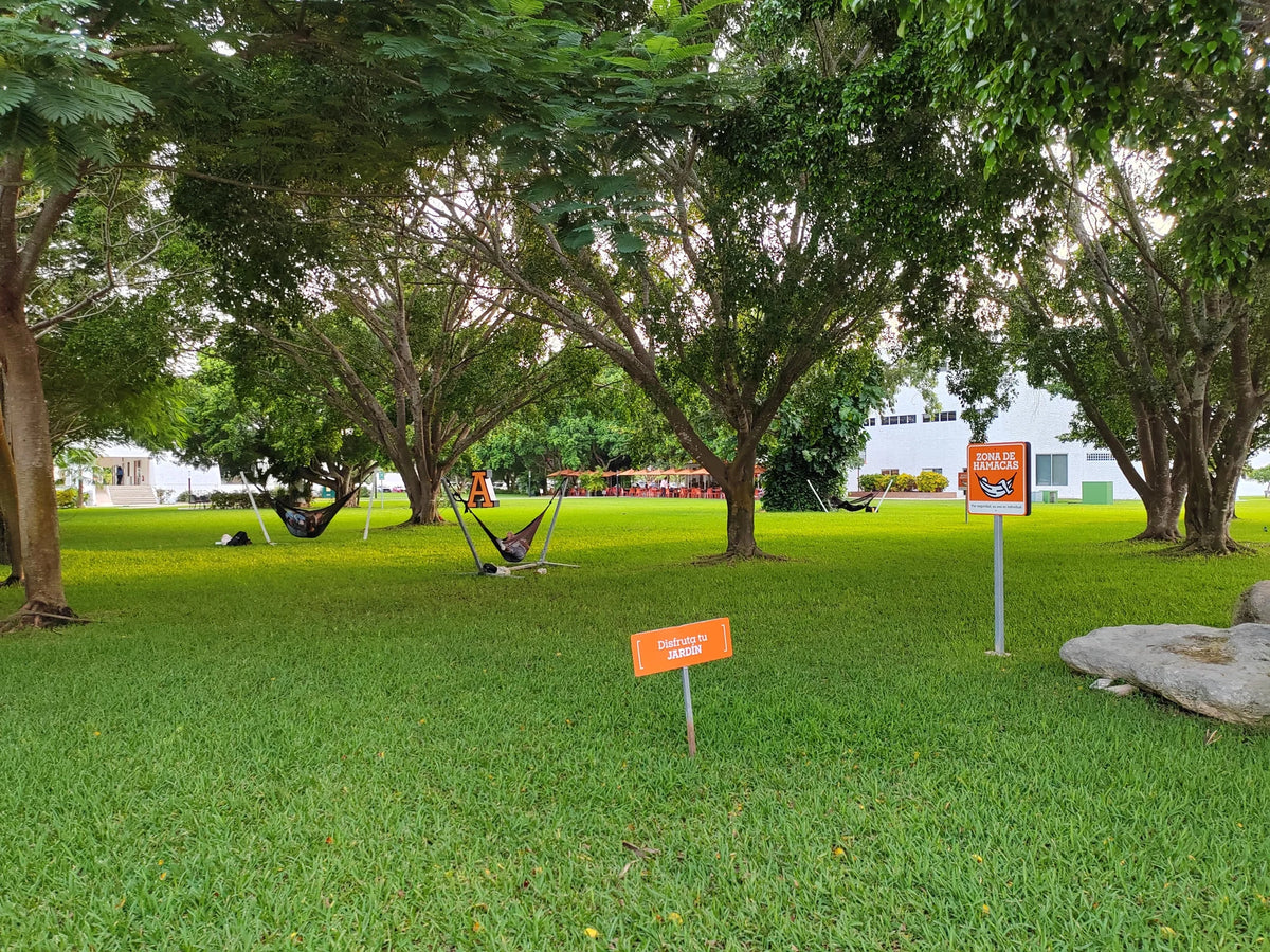 Hammocks on metal stands in a broad garden beneath the trees.