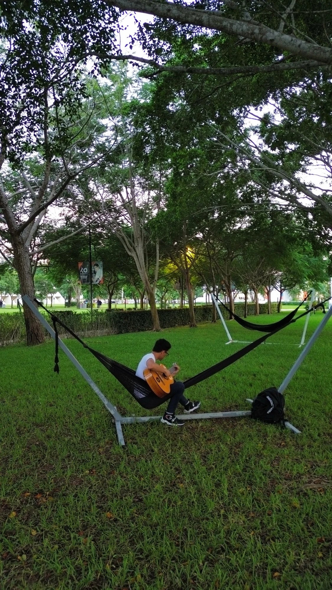 People resting in hammocks above the grass beneath the trees.