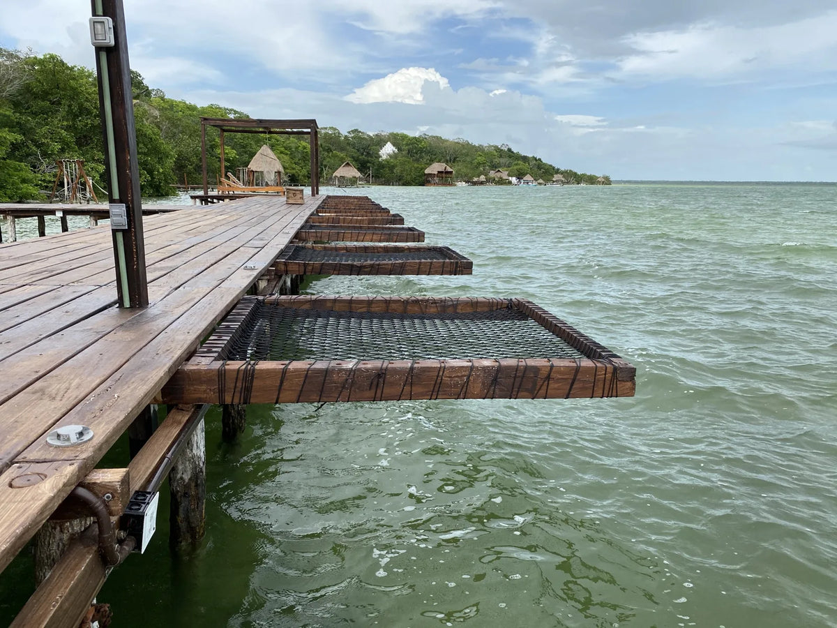 A wooden jetty with a sequence of rectangular nets suspended above the lagoon.