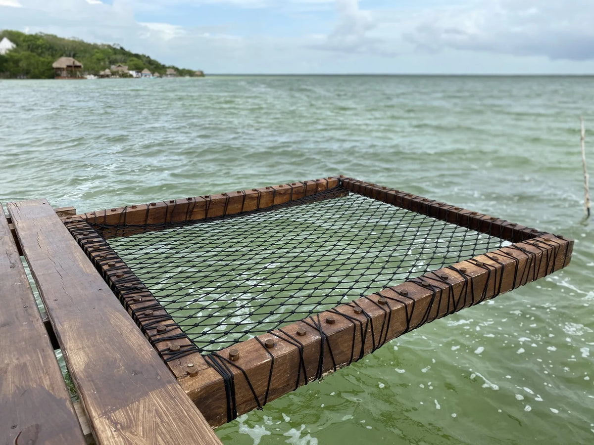 A rectangular dark woven net in a wooden frame, viewed diagonally above the water.