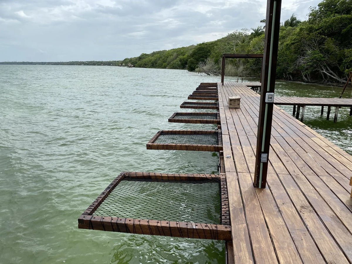 A view along the jetty and nets beside the vegetation on the shore.