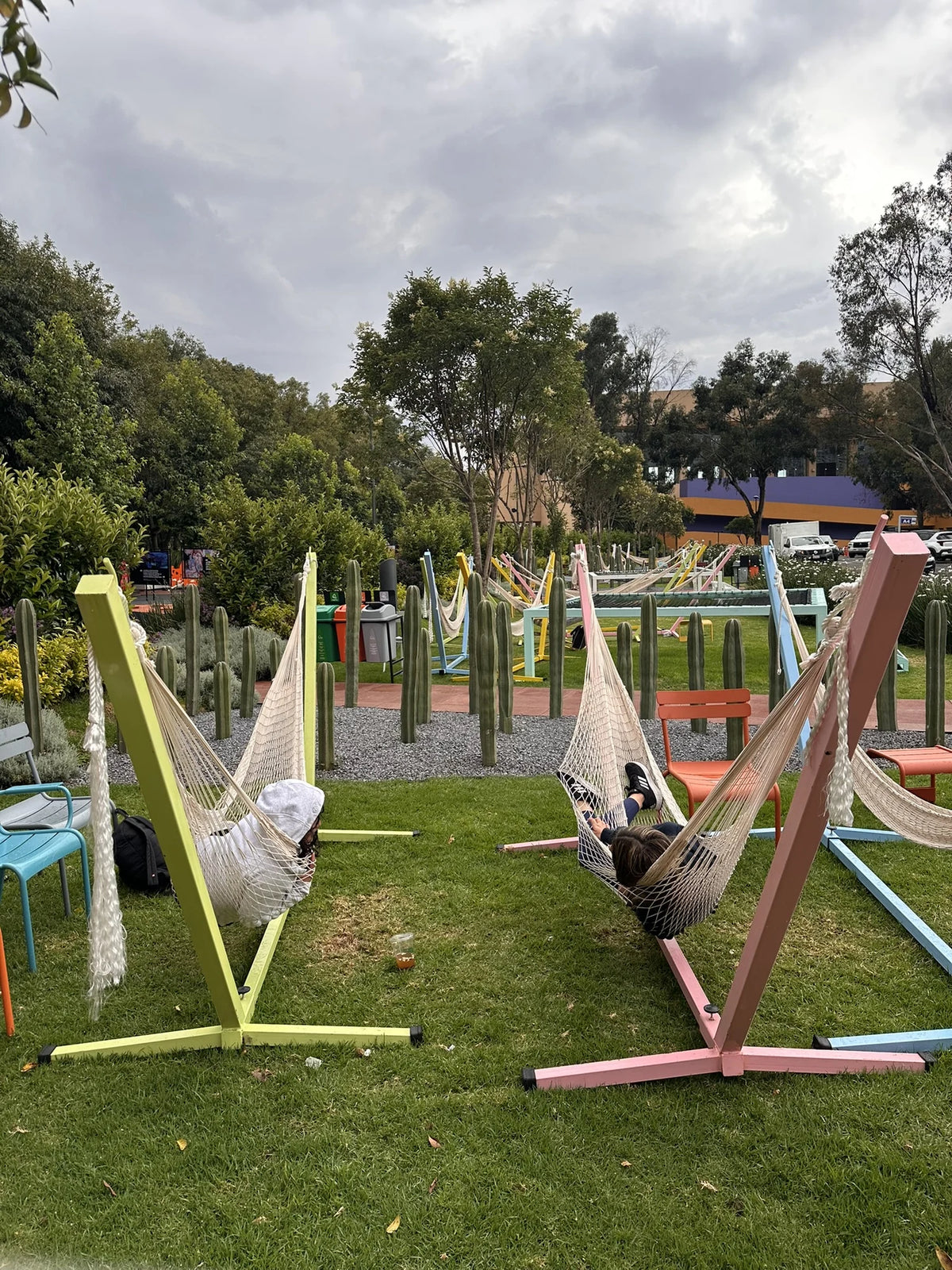 Hammocks on colourful stands arranged on a lawn at the campus.