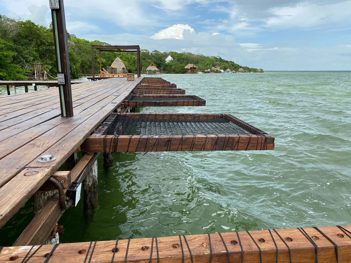 Plusieurs filets de détente sur cadres en bois le long d’un ponton à Bacalar.