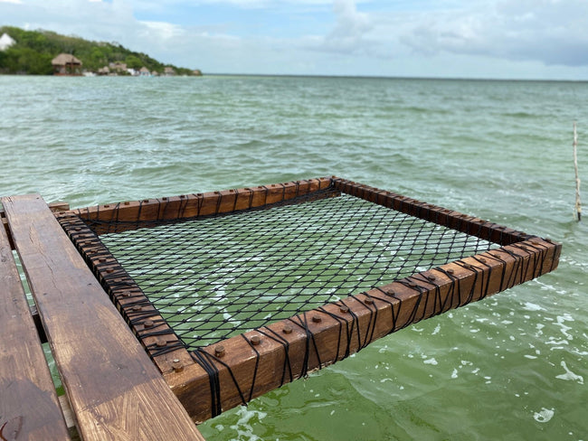 Filet de détente sombre au-dessus de l’eau, intégré à un ponton en bois à Bacalar.