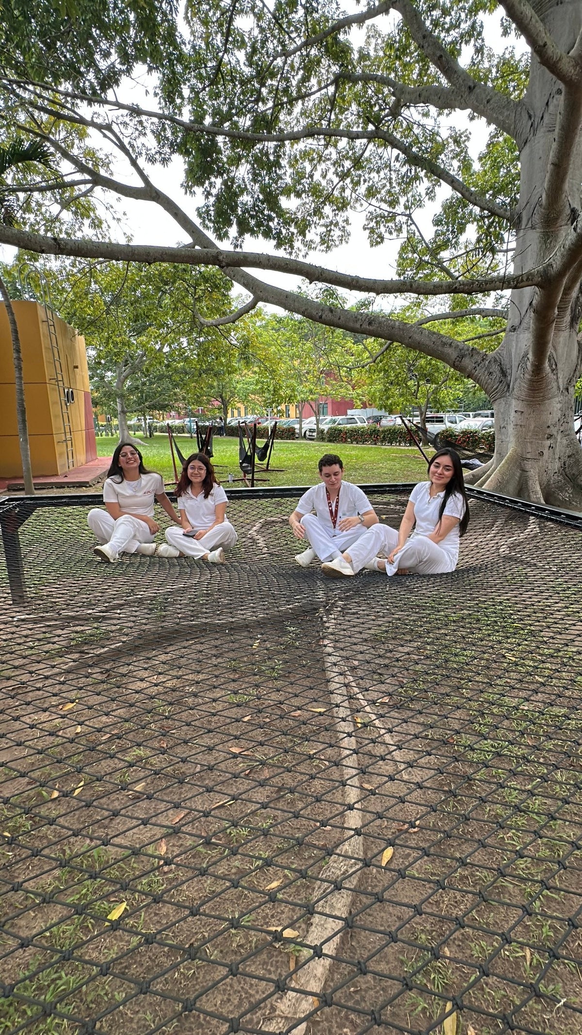 Personnes assises sur un filet noir sous les arbres dans le projet UAG.